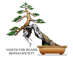 加拿大温哥华岛盆景协会 Vancouver Island Bonsai Society