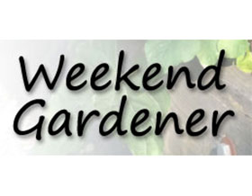 周末园丁， Weekend Gardener