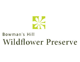 鲍曼山野花保护区 Bowman's Hill Wildflower Preserve