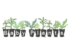 种苗公司 Baby plants