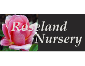 罗斯兰苗圃 Roseland Nursery