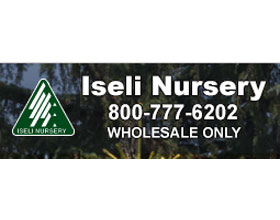 伊塞里苗圃 ISELI NURSERY