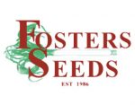 福斯特斯种子 FOSTERS SEEDS