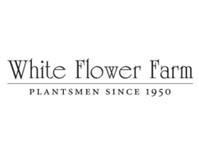 美国白花农场 White Flower Farm