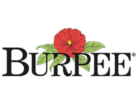 伯比种子公司 Burpee Seed Company