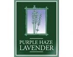 紫色迷雾薰衣草农场 PURPLE HAZE LAVENDER Farm