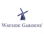 路边花园 Wayside Garden