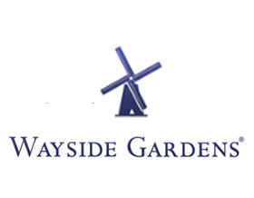 路边花园 Wayside Garden