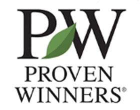 证明赢家观赏植物 PROVEN WINNERS