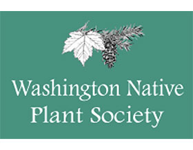 华盛顿原生植物协会 Washington Native Plant Society