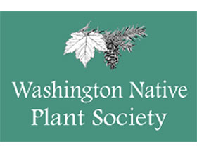 华盛顿本地植物协会 Washington Native Plant Society