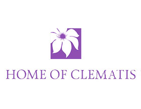 铁线莲主页 HOME OF CLEMATIS