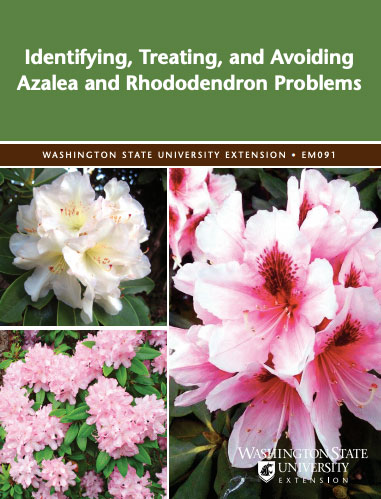 杜鹃花的诊断、治疗与预防 Identifying, Treating, and Avoiding Azalea and Rhododendron Problems