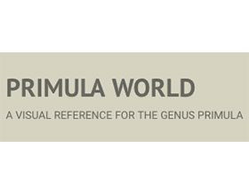 樱草（报春花）世界 Primula World