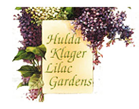 美国Hulda Klager丁香花园