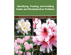 杜鹃花的诊断、治疗与预防 Identifying, Treating, and Avoiding Azalea and Rhododendron Problems