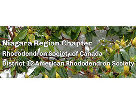 加拿大杜鹃花协会尼亚加拉地区分会 The Niagara Region, Rhododendron Society of Canada