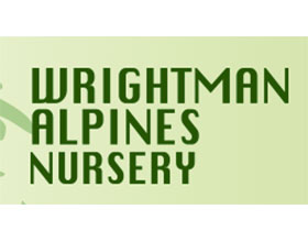 赖特曼高山植物苗圃 Wrightman Alpines Nursery