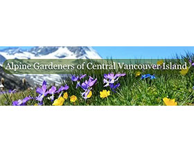 加拿大中央温哥华岛的高山园丁 Alpine Gardeners of Central Vancouver Island
