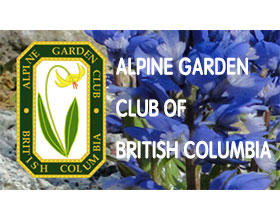 加拿大不列颠哥伦比亚高山花园俱乐部 ALPINE GARDEN CLUB OF BRITISH COLUMBIA