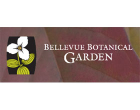 贝尔维尤植物园 Bellevue Botanical Garden