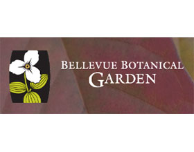 美国Bellevue植物园 Bellevue Botanical Garden