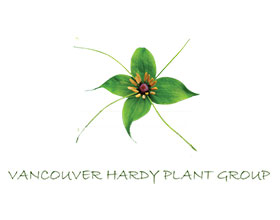 温哥华耐寒植物小组 Vancouver Hardy Plant Group
