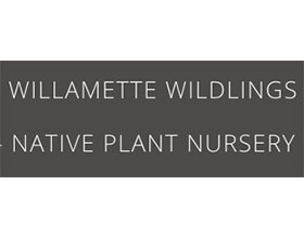 美国WILLAMETTE野生植物苗圃 WILLAMETTE WILDLINGS NURSERY