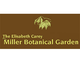 西雅图米勒植物园 Miller Botanical Garden