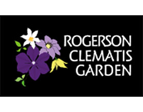 美国Rogerso铁线莲花园 Rogerson Clematis Garden