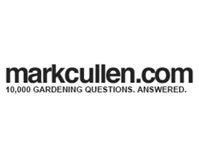 马克库伦的网站 MARK CULLEN.com
