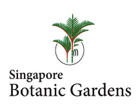 新加坡植物园 Singapore Botanic Gardens