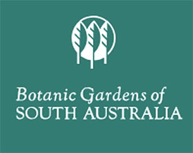 南澳大利亚植物园 Botanic Gardens of South Australia