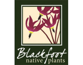 加拿大黑脚原生植物苗圃 Blackfoot Native Plants