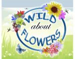 加拿大阿尔伯特野生花卉和种子 NATIVE ALBERTA WILDFLOWERS PLANTS & SEEDS