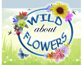 加拿大野花苗圃 Wild About Flowers