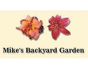 麦克的后花园 Mike's Backyard Garden