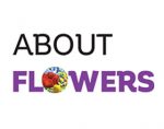 关于花卉 About flowers