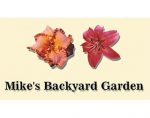 麦克的后花园 Mike's Backyard Garden
