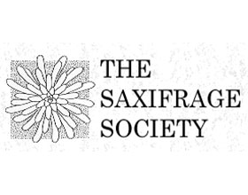 英国虎耳草协会 The Saxifrage Society