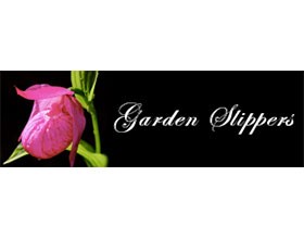 加拿大花园拖鞋兰苗圃 Garden Slippers