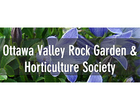 加拿大渥太华山谷岩石园和园艺协会 Ottawa Valley Rock Garden & Horticulture Society