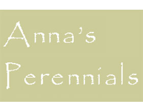 安娜的多年生植物 Anna's Perennials