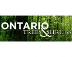 加拿大安大略省的树木和灌木 Ontario Trees and Shrubs