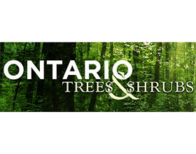 加拿大安大略省的树木和灌木 Ontario Trees and Shrubs