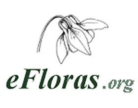 网络版世界植物志 efloras.org