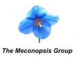 苏格兰岩石花园俱乐部绿绒蒿小组 The Meconopsis Group