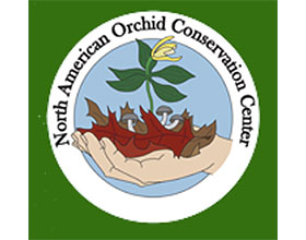 北美兰花保护中心 North American Orchid Conservation Center