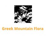 希腊山地植物 Greek Mountain Flora