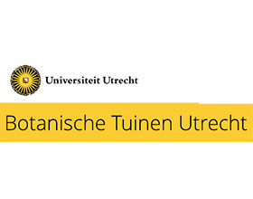 荷兰乌得勒支大学植物园 Botanische Tuinen Utrecht